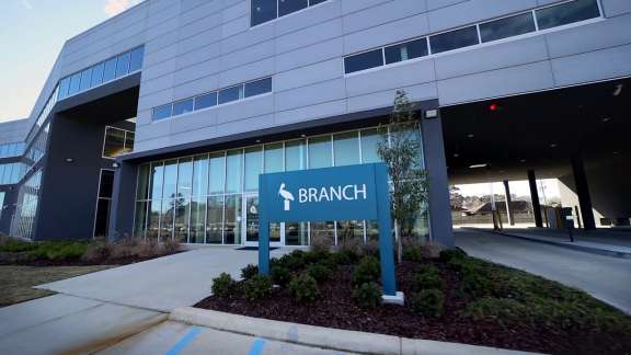 Pelican Branch