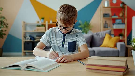 Studying Boy